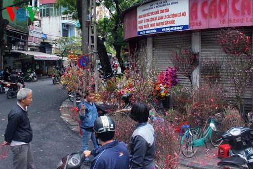 Peach trees in full bloom for Tet - ảnh 12